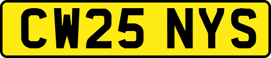 CW25NYS