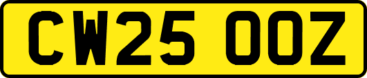 CW25OOZ