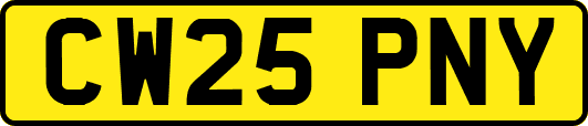 CW25PNY