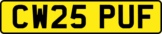 CW25PUF