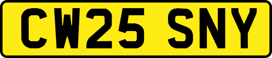 CW25SNY