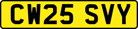 CW25SVY