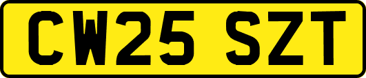 CW25SZT
