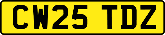 CW25TDZ