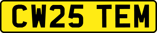 CW25TEM