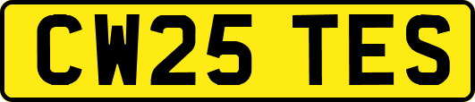 CW25TES