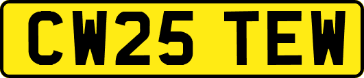 CW25TEW