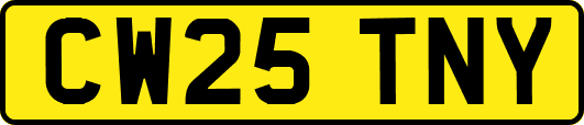 CW25TNY