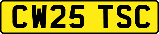 CW25TSC