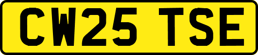 CW25TSE