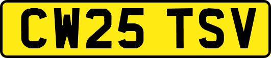 CW25TSV