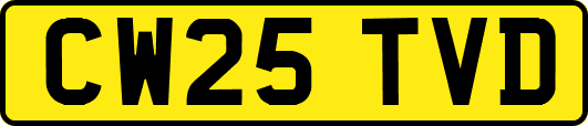 CW25TVD