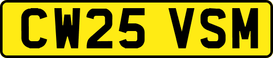 CW25VSM