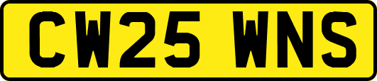CW25WNS