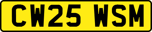 CW25WSM