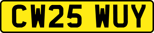 CW25WUY