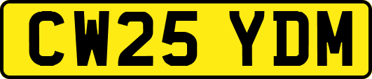 CW25YDM