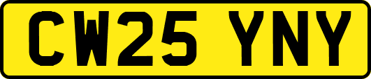 CW25YNY