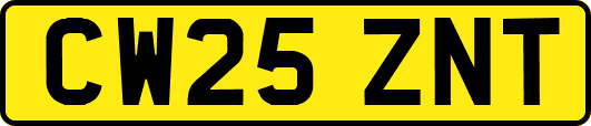 CW25ZNT