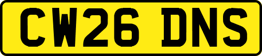 CW26DNS