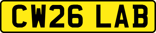 CW26LAB