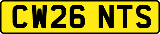 CW26NTS
