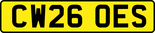 CW26OES