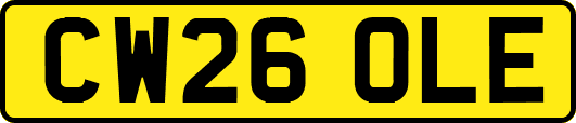 CW26OLE