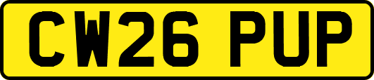 CW26PUP