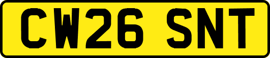 CW26SNT