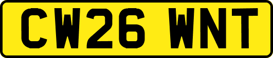 CW26WNT