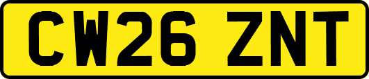 CW26ZNT