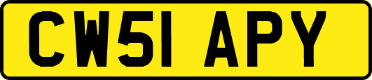 CW51APY