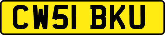 CW51BKU