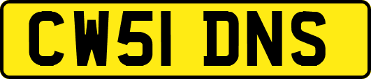 CW51DNS