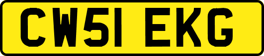 CW51EKG