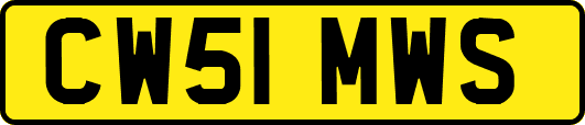 CW51MWS