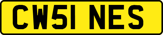 CW51NES