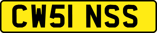 CW51NSS