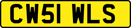 CW51WLS