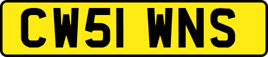 CW51WNS