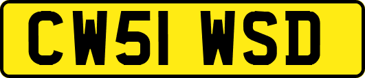 CW51WSD