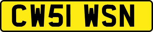 CW51WSN