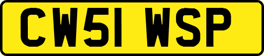 CW51WSP
