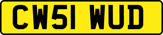 CW51WUD