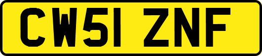 CW51ZNF