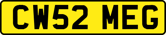 CW52MEG