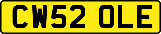 CW52OLE