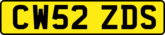 CW52ZDS