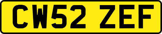 CW52ZEF